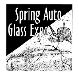 SPRING AUTO GLASS EXPO logo