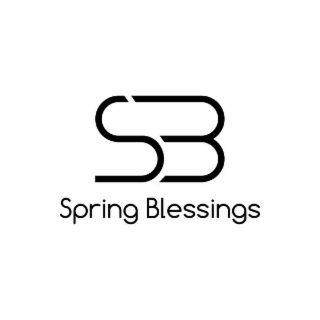 SPRING BLESSINGS logo
