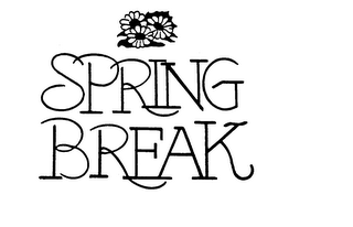 SPRING BREAK logo