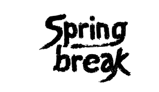 SPRING BREAK logo