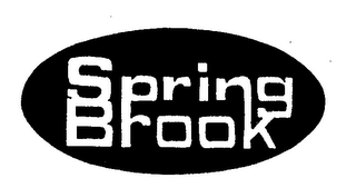 SPRING BROOK logo