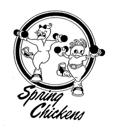SPRING CHICKENS logo