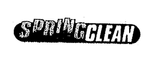SPRING CLEAN logo