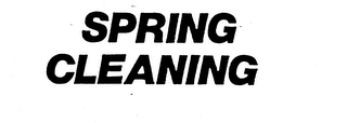 SPRING CLEANING