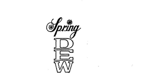 SPRING DEW logo
