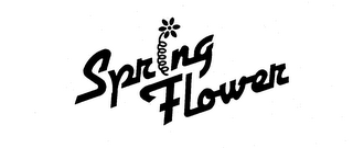 SPRING FLOWER logo