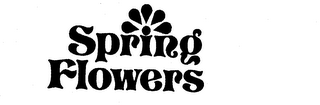 SPRING FLOWERS logo
