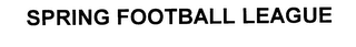 SPRING FOOTBALL LEAGUE logo