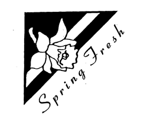 SPRING FRESH logo