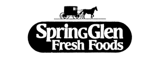 SPRING GLEN FRESH FOODS logo