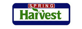 SPRING HARVEST logo