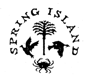 SPRING ISLAND logo