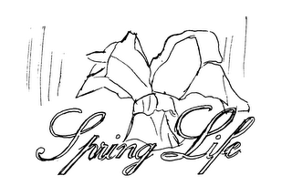 SPRING LIFE logo