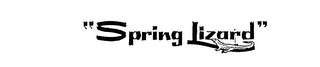 "SPRING LIZARD" logo