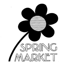 SPRING MARKET logo