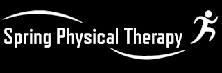 SPRING PHYSICAL THERAPY logo