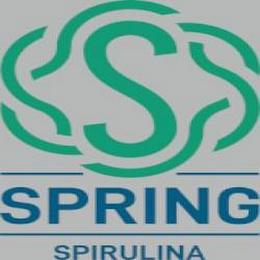 SPRING SPIRULINA logo
