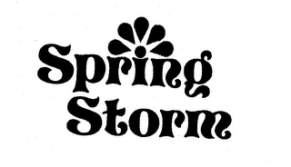 SPRING STORM logo