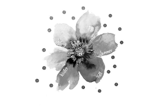 SPRING SUMMER FALL WINTER logo