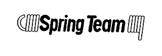 SPRING TEAM logo