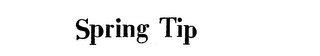SPRING TIP logo