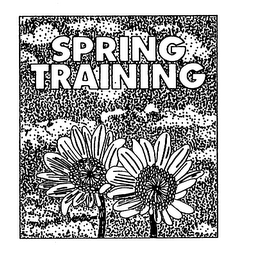 SPRING TRAINING logo