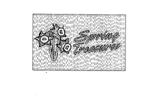 SPRING TREASURES logo