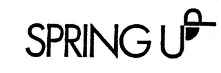 SPRING UP logo