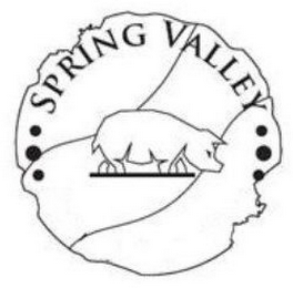 SPRING VALLEY logo