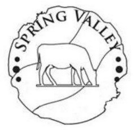 SPRING VALLEY logo
