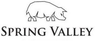 SPRING VALLEY logo