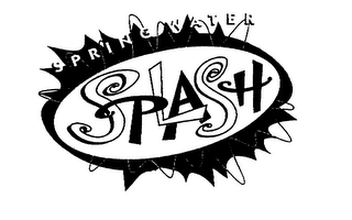 SPRING WATER SPLASH logo