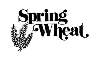 SPRING WHEAT logo