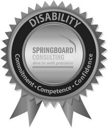 SPRINGBOARD CONSULTING, LLC DIVE IN WITH PRECISION DISABILITY COMMITMENT COMPETENCE CONFIDENCE
