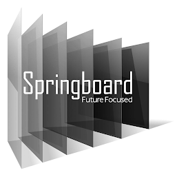 SPRINGBOARD FUTURE FOCUSED logo