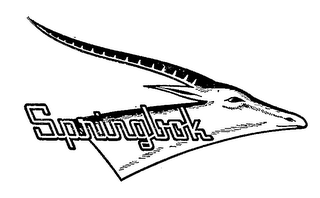 SPRINGBOK logo