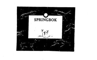 SPRINGBOK logo