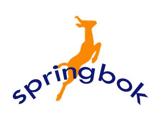 SPRINGBOK logo