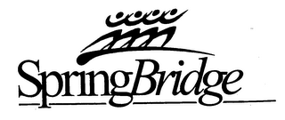 SPRINGBRIDGE logo