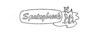 SPRINGBROOK logo