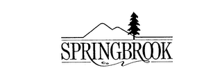 SPRINGBROOK logo
