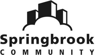 SPRINGBROOK COMMUNITY logo