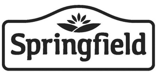 SPRINGFIELD logo