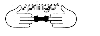SPRINGO logo
