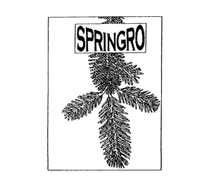SPRINGRO logo