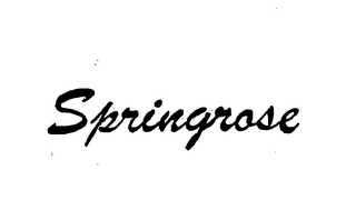 SPRINGROSE