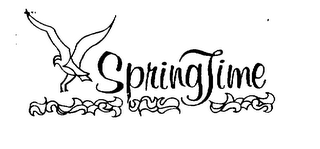 SPRINGTIME logo