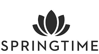 SPRINGTIME logo