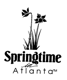 SPRINGTIME IN ATLANTA logo