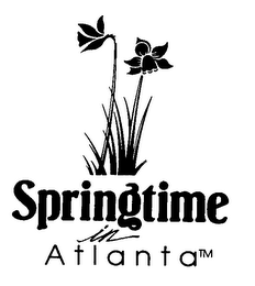 SPRINGTIME IN GEORGIA logo